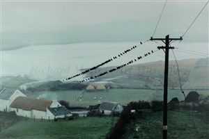 Image description is not available for 2008.031